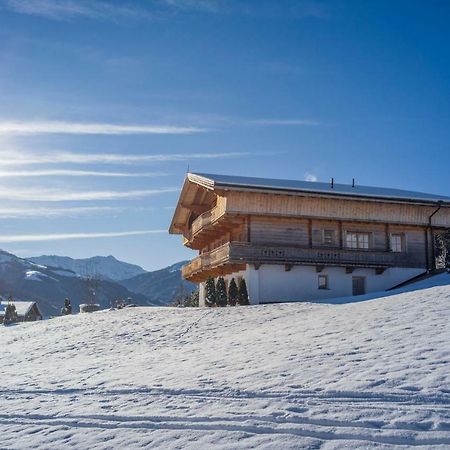 Chalet Apartment Obermanzl Hopfgarten im Brixental Ngoại thất bức ảnh